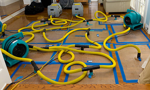 Professional Crawl Space Water Removal technician working in Sultana, CA